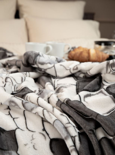 Плед Texpublic  фл печатн скрутка 150*200 см АРТ.24778